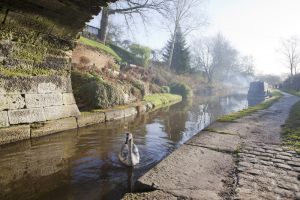 scholars green canal path 116 sm.jpg